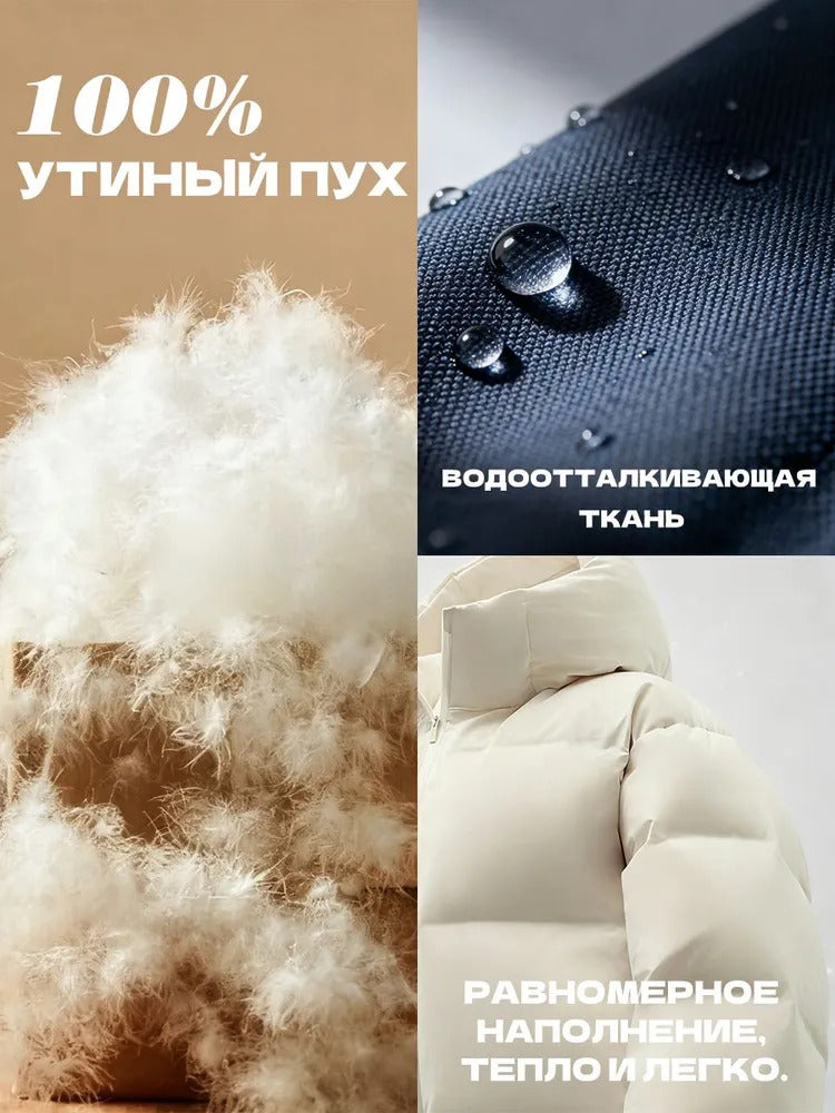 b8822284-d950-4899-923a-e250b31c0639